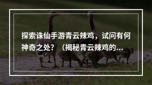 探索诛仙手游青云辣鸡，试问有何神奇之处？（揭秘青云辣鸡的独特魅力）