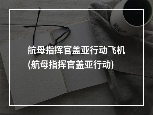 航母指挥官盖亚行动飞机(航母指挥官盖亚行动)