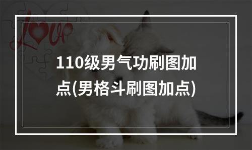 110级男气功刷图加点(男格斗刷图加点)