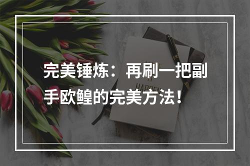 完美锤炼：再刷一把副手欧鳇的完美方法！