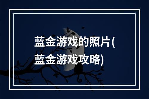 蓝金游戏的照片(蓝金游戏攻略)