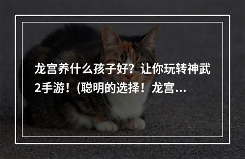 龙宫养什么孩子好？让你玩转神武2手游！(聪明的选择！龙宫孩子养成攻略大揭秘！)