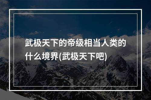 武极天下的帝级相当人类的什么境界(武极天下吧)