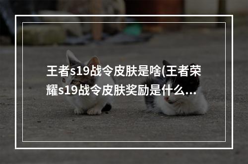 王者s19战令皮肤是啥(王者荣耀s19战令皮肤奖励是什么s19赛季战令皮肤是哪两)