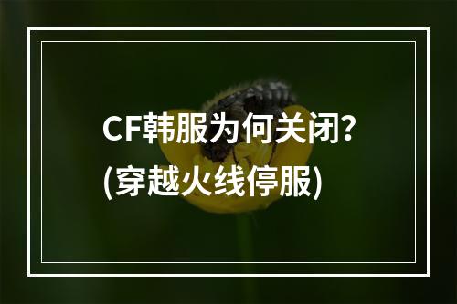 CF韩服为何关闭？(穿越火线停服)