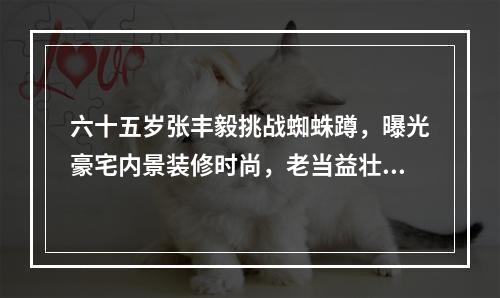 六十五岁张丰毅挑战蜘蛛蹲，曝光豪宅内景装修时尚，老当益壮的明星有哪些？(蜘蛛腿挑战)