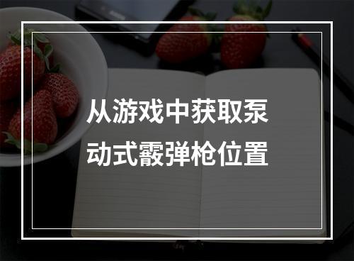 从游戏中获取泵动式霰弹枪位置