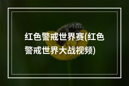 红色警戒世界赛(红色警戒世界大战视频)