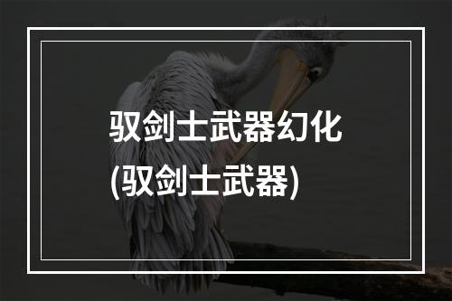 驭剑士武器幻化(驭剑士武器)