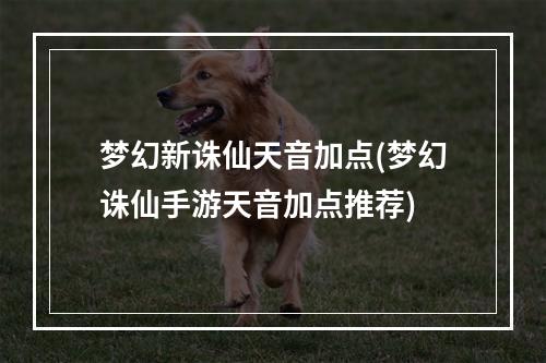 梦幻新诛仙天音加点(梦幻诛仙手游天音加点推荐)