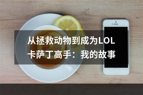 从拯救动物到成为LOL卡萨丁高手：我的故事