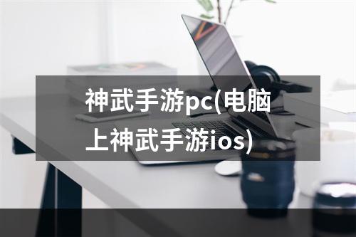 神武手游pc(电脑上神武手游ios)