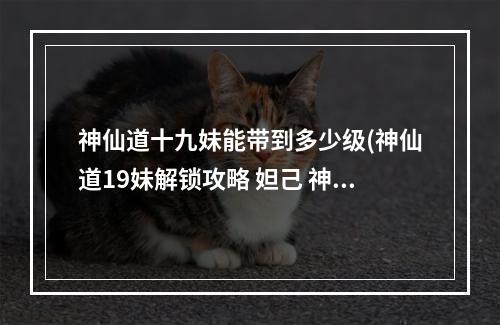 神仙道十九妹能带到多少级(神仙道19妹解锁攻略 妲己 神仙道挑战十九妹攻略)