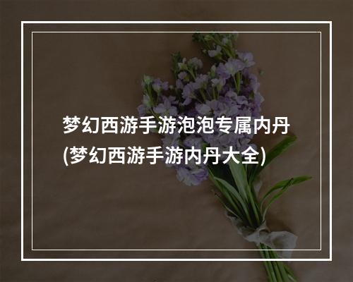 梦幻西游手游泡泡专属内丹(梦幻西游手游内丹大全)