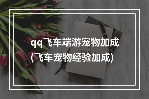 qq飞车端游宠物加成(飞车宠物经验加成)