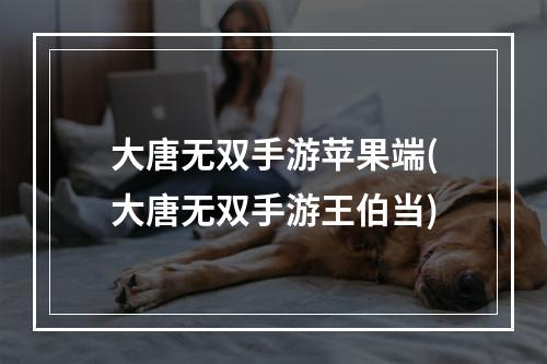 大唐无双手游苹果端(大唐无双手游王伯当)