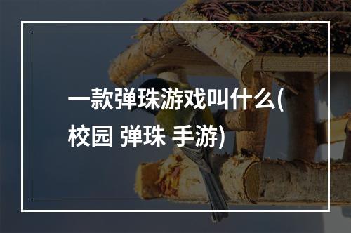 一款弹珠游戏叫什么(校园 弹珠 手游)