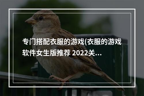 专门搭配衣服的游戏(衣服的游戏软件女生版推荐 2022关于穿衣搭配的小游戏)