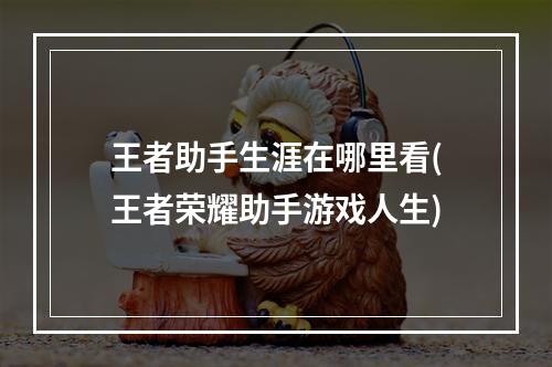 王者助手生涯在哪里看(王者荣耀助手游戏人生)