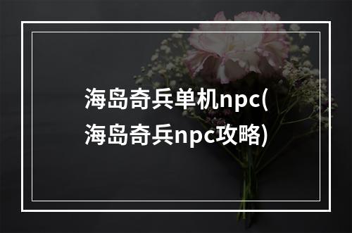 海岛奇兵单机npc(海岛奇兵npc攻略)