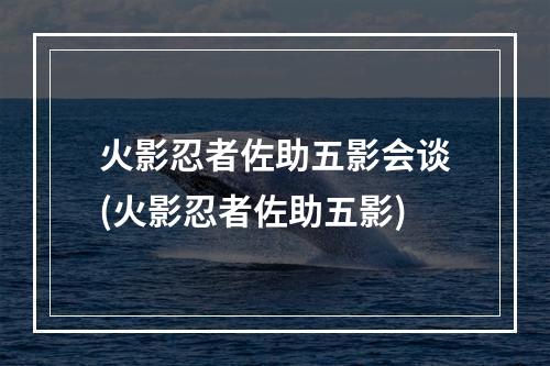 火影忍者佐助五影会谈(火影忍者佐助五影)