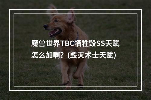 魔兽世界TBC牺牲毁SS天赋怎么加啊？(毁灭术士天赋)