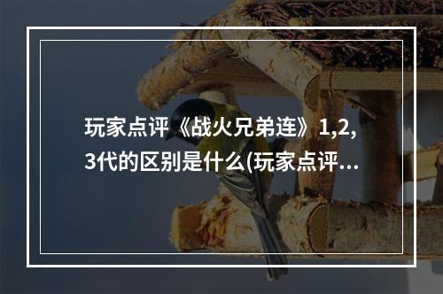 玩家点评《战火兄弟连》1,2,3代的区别是什么(玩家点评《战火兄弟连》1、2、3代的区别)