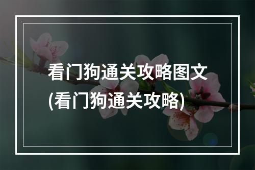 看门狗通关攻略图文(看门狗通关攻略)