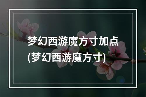 梦幻西游魔方寸加点(梦幻西游魔方寸)